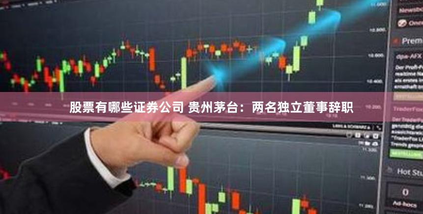 股票有哪些证券公司 贵州茅台：两名独立董事辞职