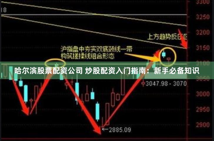 哈尔滨股票配资公司 炒股配资入门指南：新手必备知识